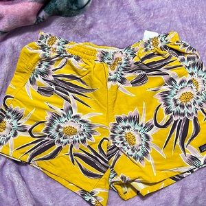 Patagonia baggie shorts